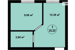 Продается 1-комнатная квартира 25.25 кв. м в Киево-Святошинске