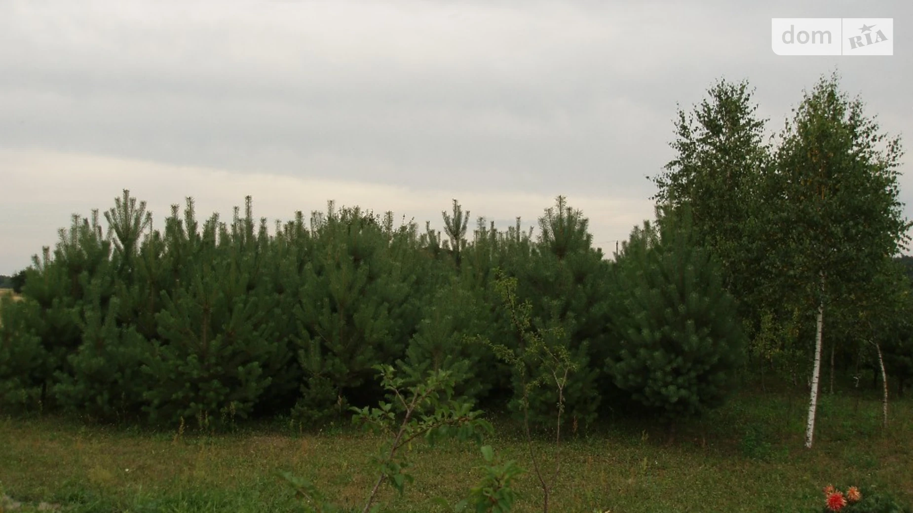 Продается земельный участок 25 соток в Львовской области, цена: 10500 $ - фото 2