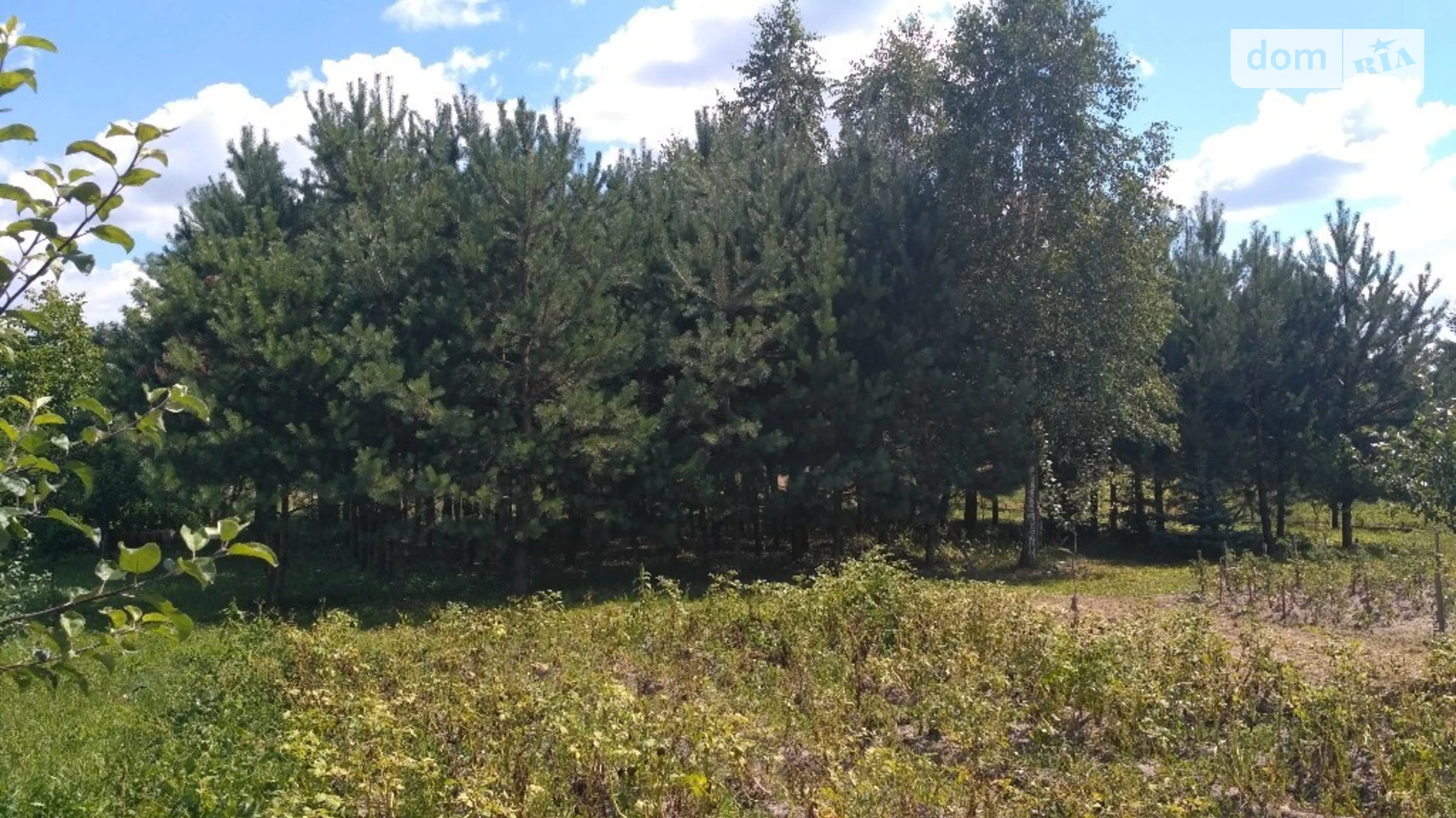 Продается земельный участок 25 соток в Львовской области, цена: 10500 $ - фото 3