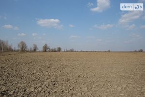 Продається земельна ділянка 16 соток у Київській області