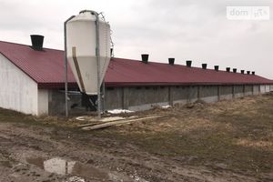 Продається готовий бізнес у сфері сільське господарство площею 20000 кв. м
