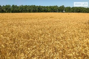 Продается земельный участок 19.5 соток в Одесской области