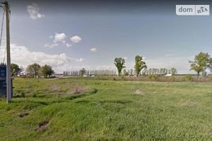Продается земельный участок 100 соток в Киевской области