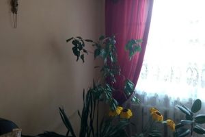 Продается 3-комнатная квартира 70 кв. м в Житомире