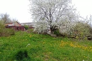 Продається земельна ділянка 16.5 соток у Вінницькій області