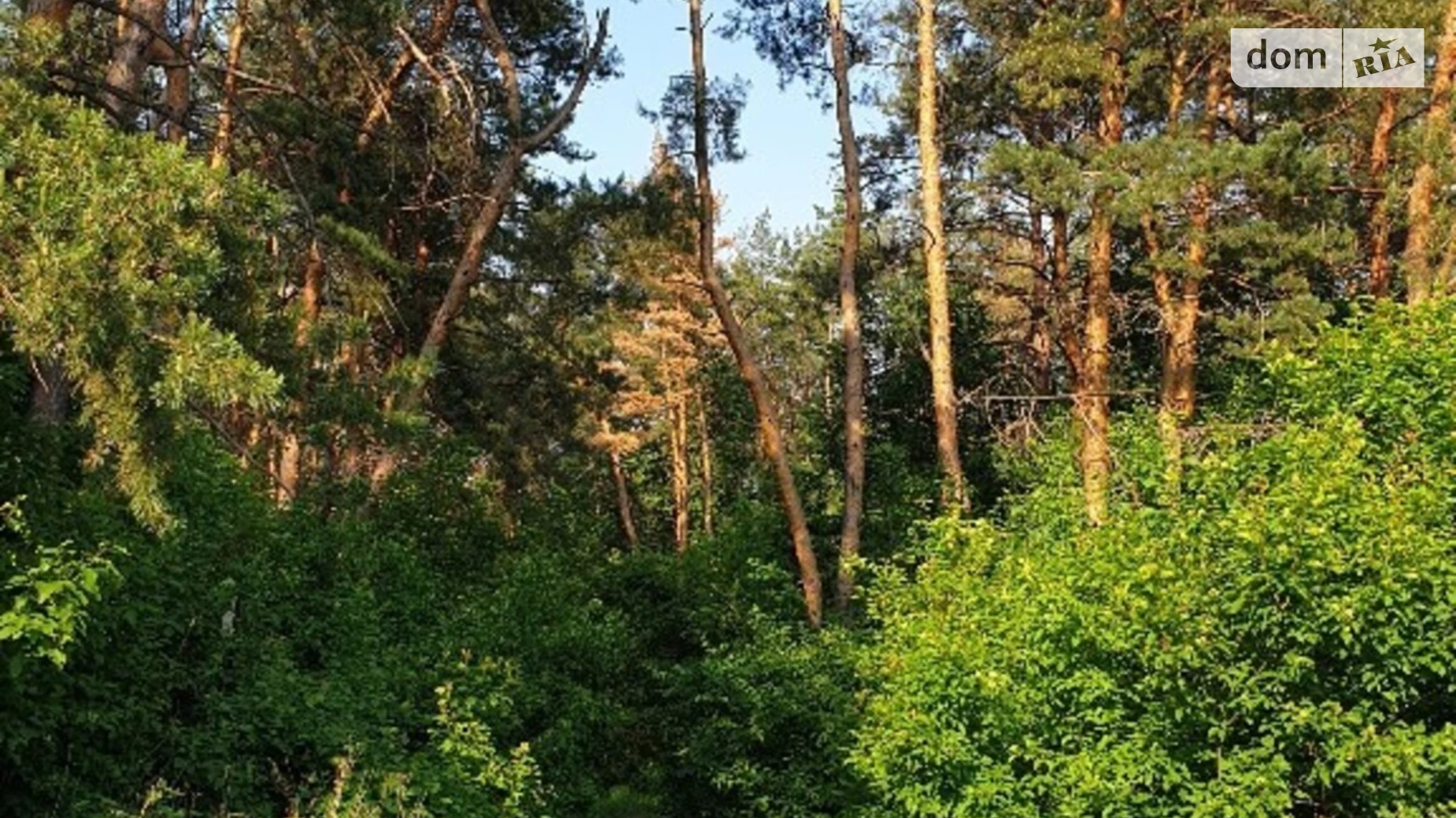 Продається земельна ділянка 25 соток у Дніпропетровській області, цена: 26000 $ - фото 4