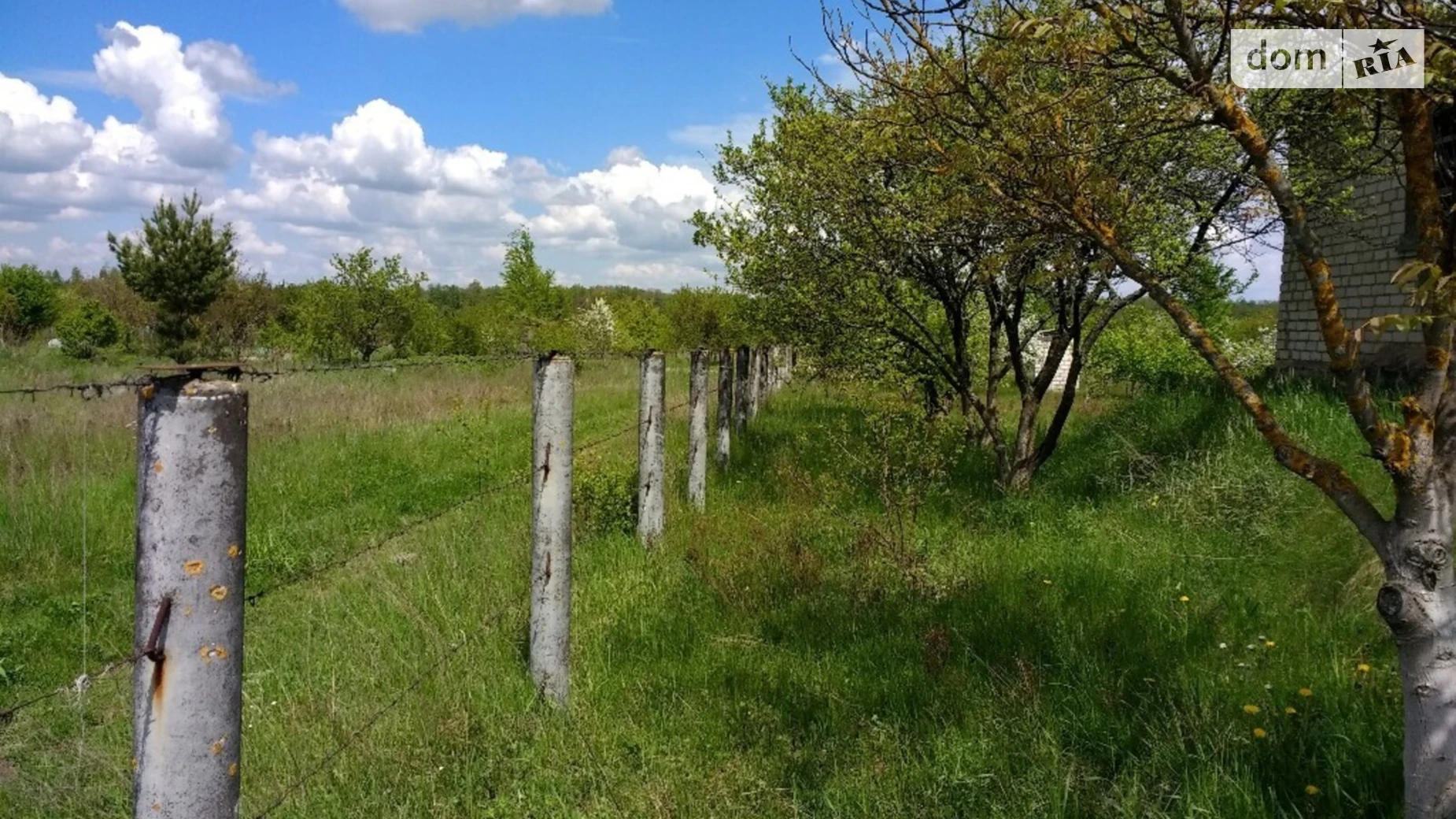 Продається земельна ділянка 20 соток у Житомирській області, цена: 5400 $ - фото 4