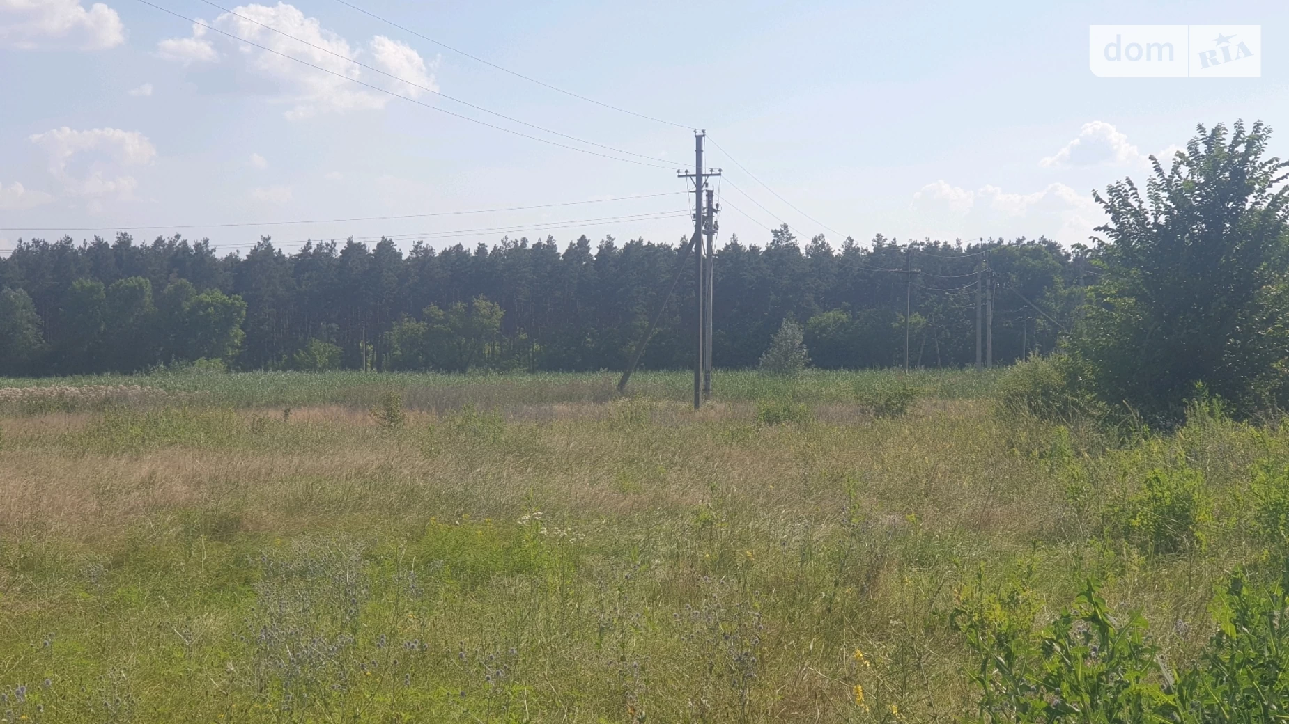 Продается земельный участок 19.99 соток в Днепропетровской области, цена: 22000 $ - фото 3