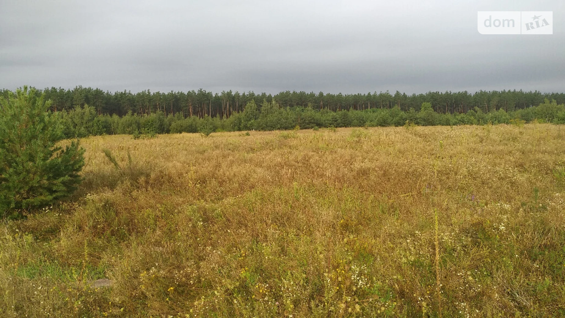 Продається земельна ділянка 15.5 соток у Київській області, цена: 12200 $ - фото 3