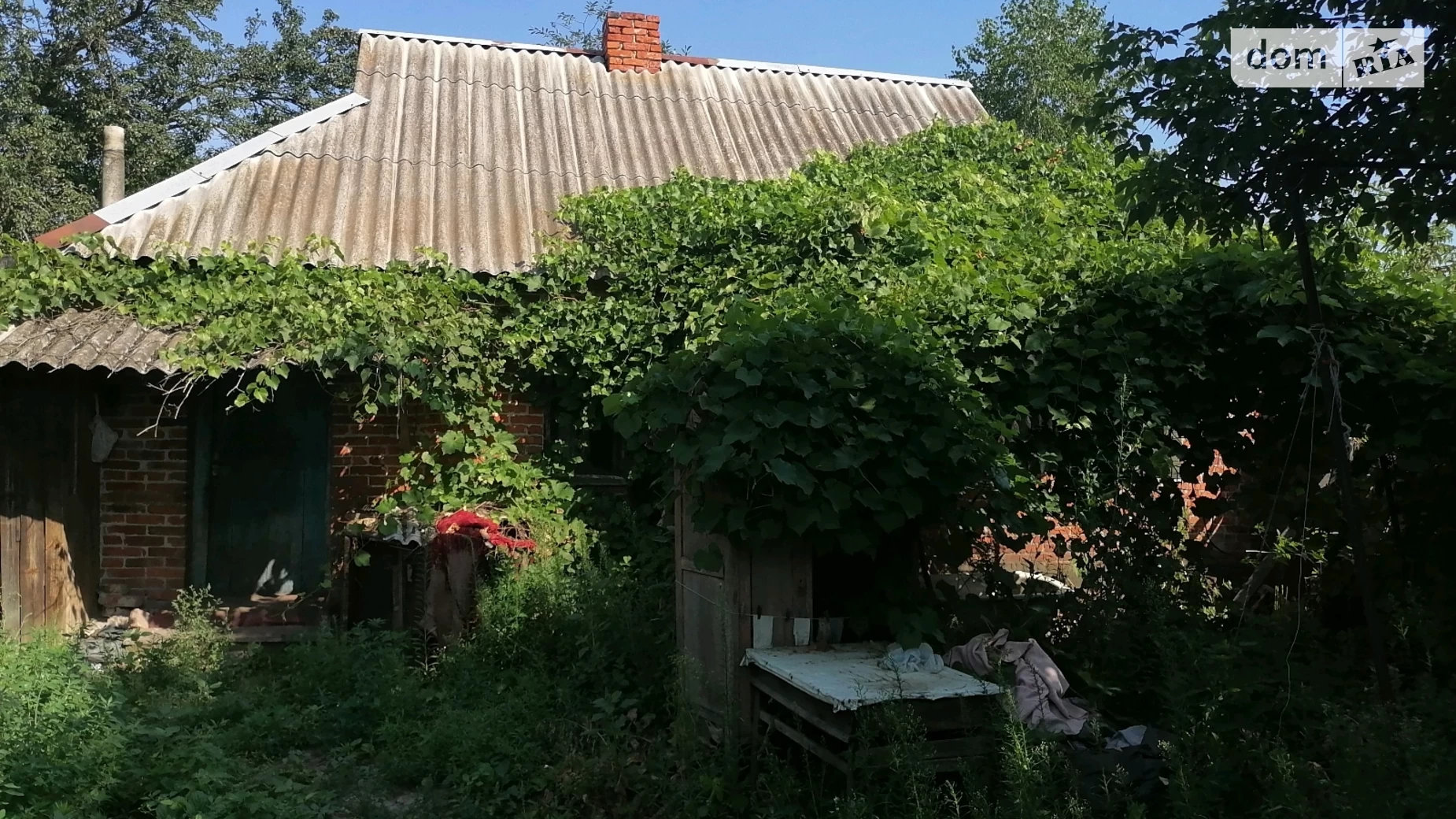 Продається земельна ділянка 25 соток у Сумській області, Польова - фото 5