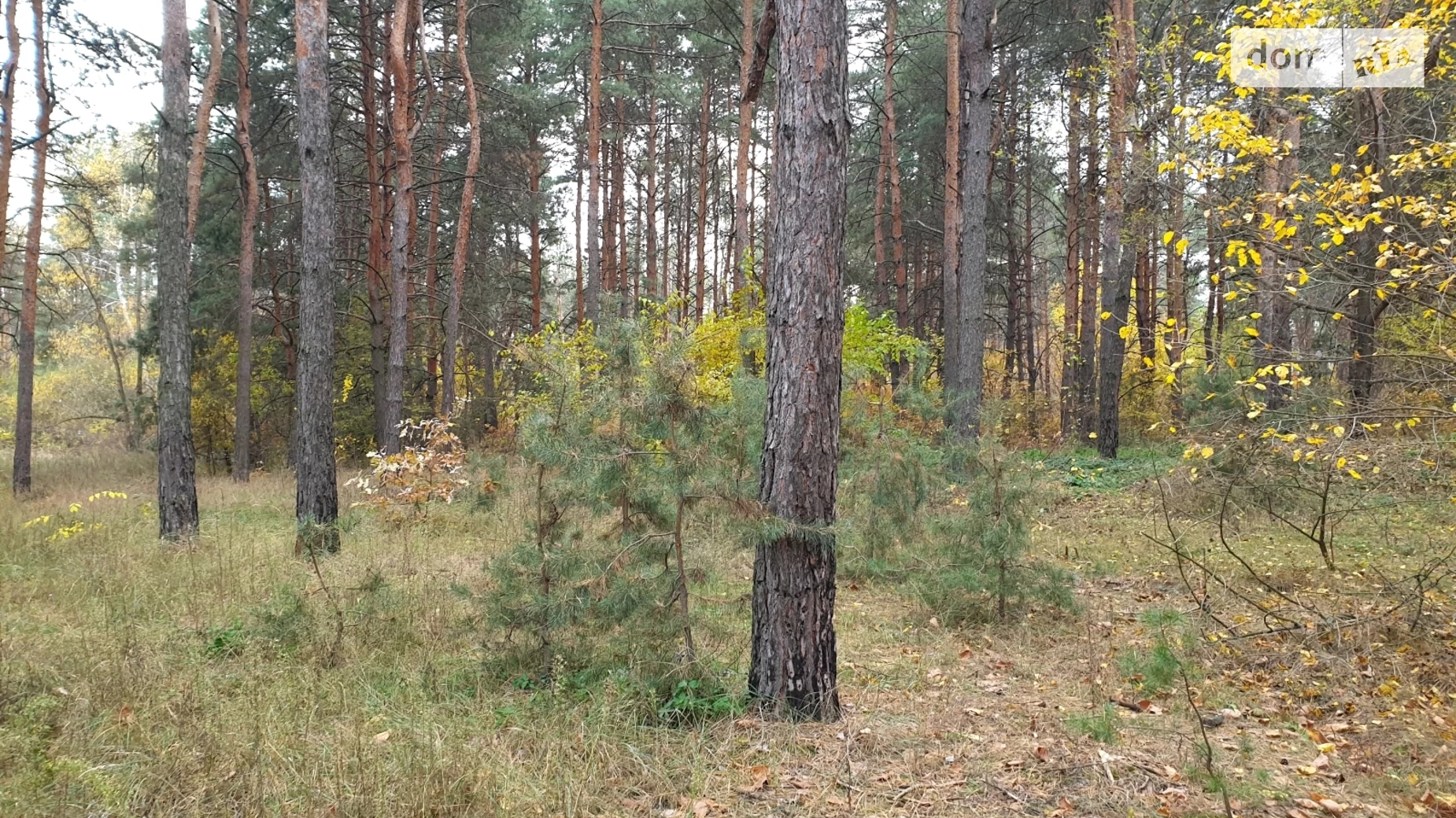 Продається земельна ділянка 25 соток у Дніпропетровській області, цена: 79999 $ - фото 2