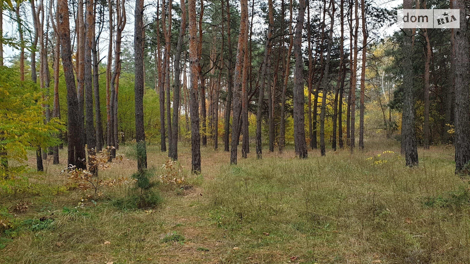 Продається земельна ділянка 25 соток у Дніпропетровській області, цена: 79999 $ - фото 5