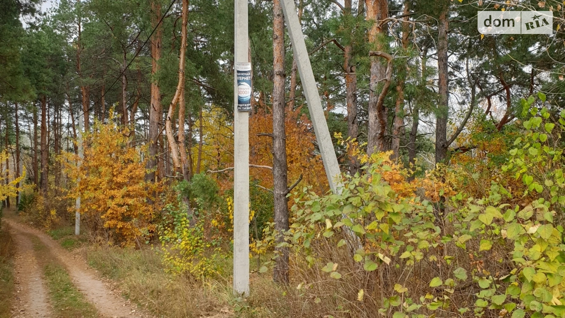 Продається земельна ділянка 15 соток у Дніпропетровській області, цена: 9999 $ - фото 4
