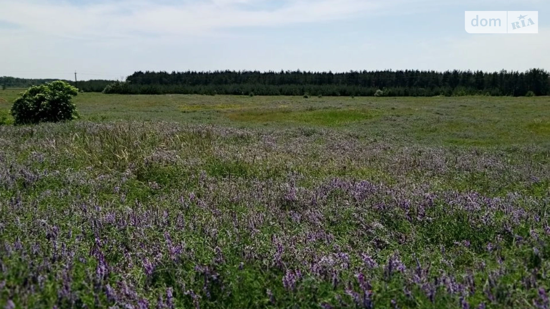 Продається земельна ділянка 1 соток у Дніпропетровській області, цена: 3000 $ - фото 2