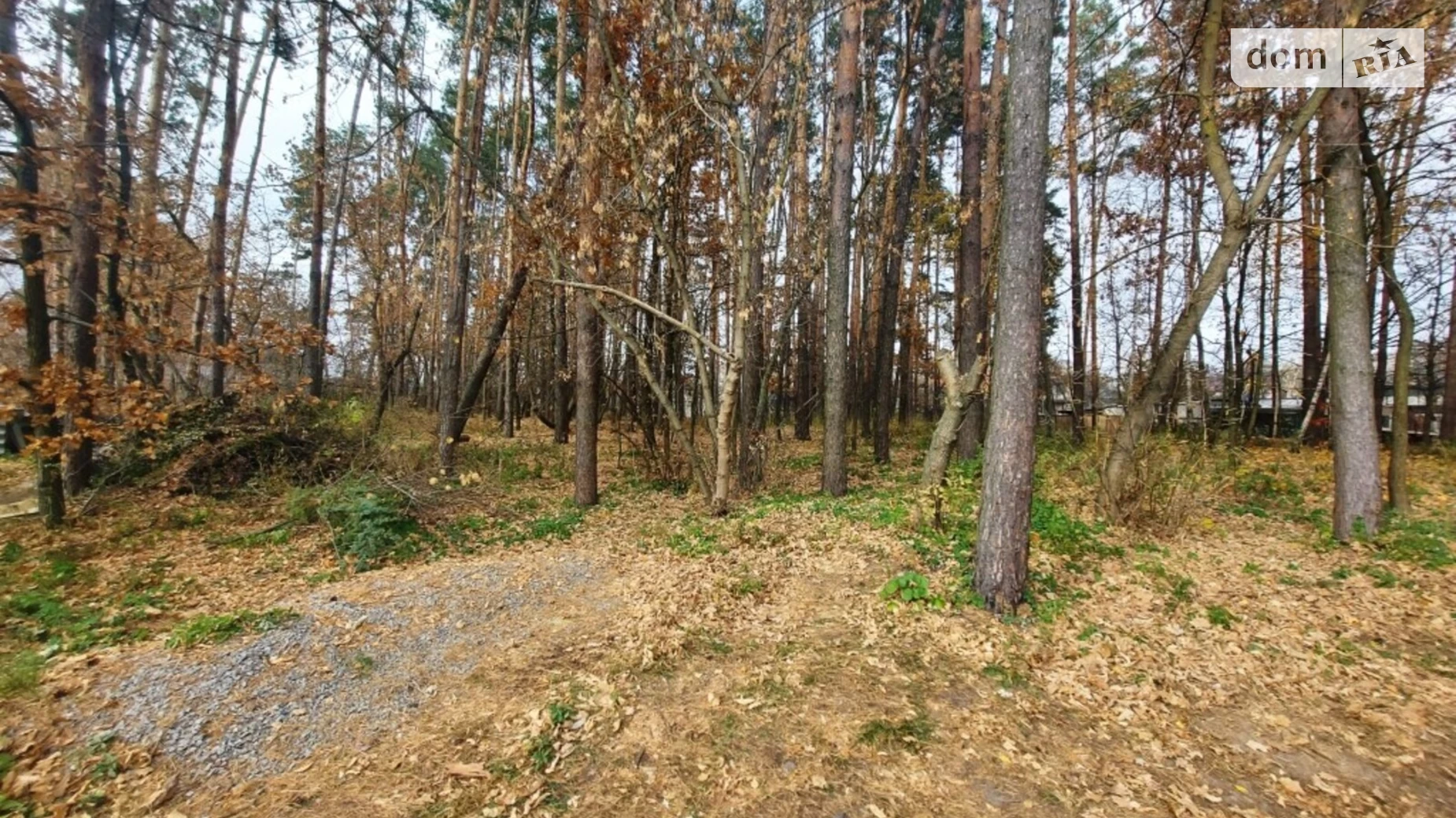 Продается земельный участок 9.2 соток в Житомирской области, цена: 11500 $ - фото 2