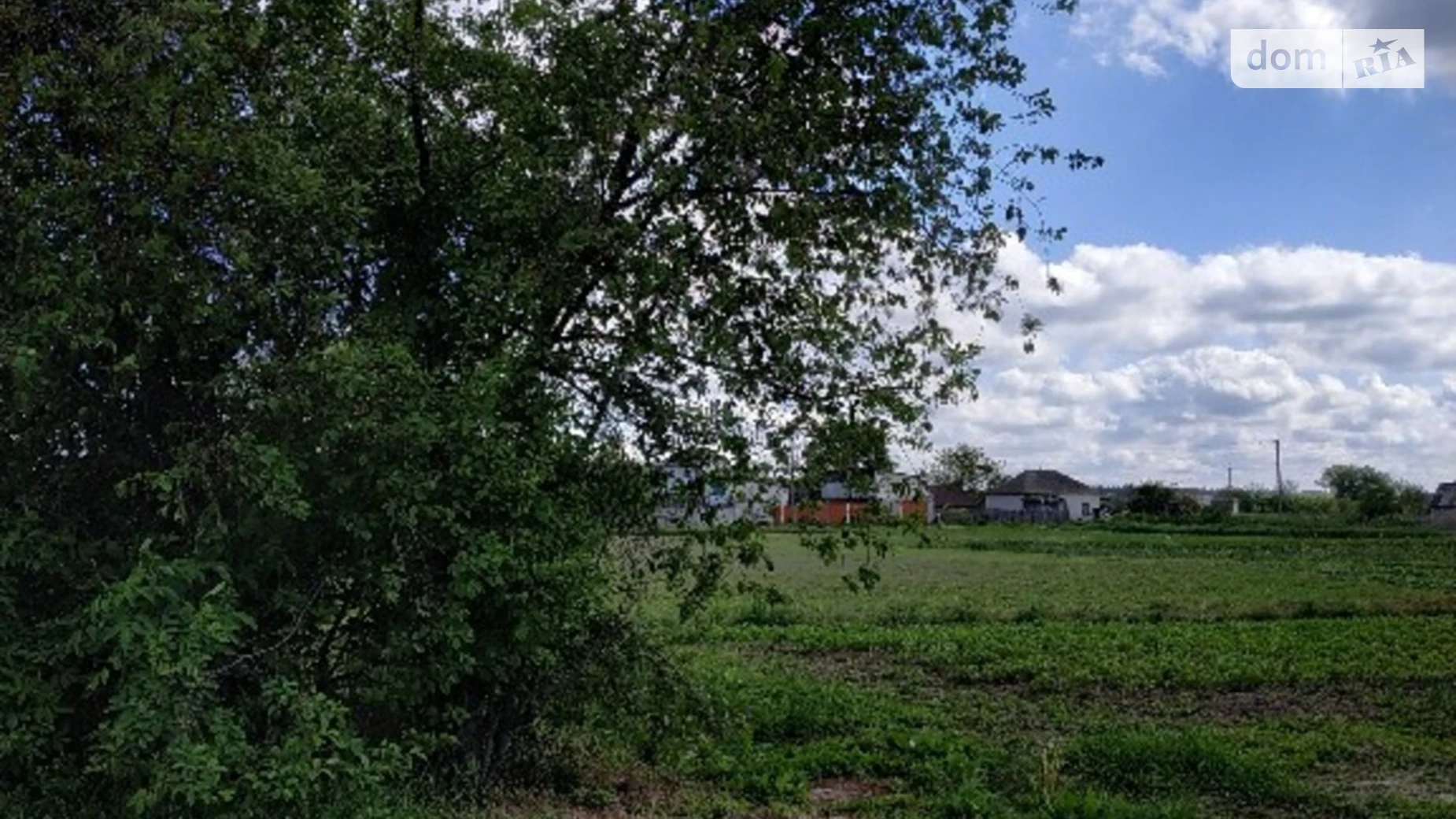 Русанов, цена: 4000 $ - фото 2