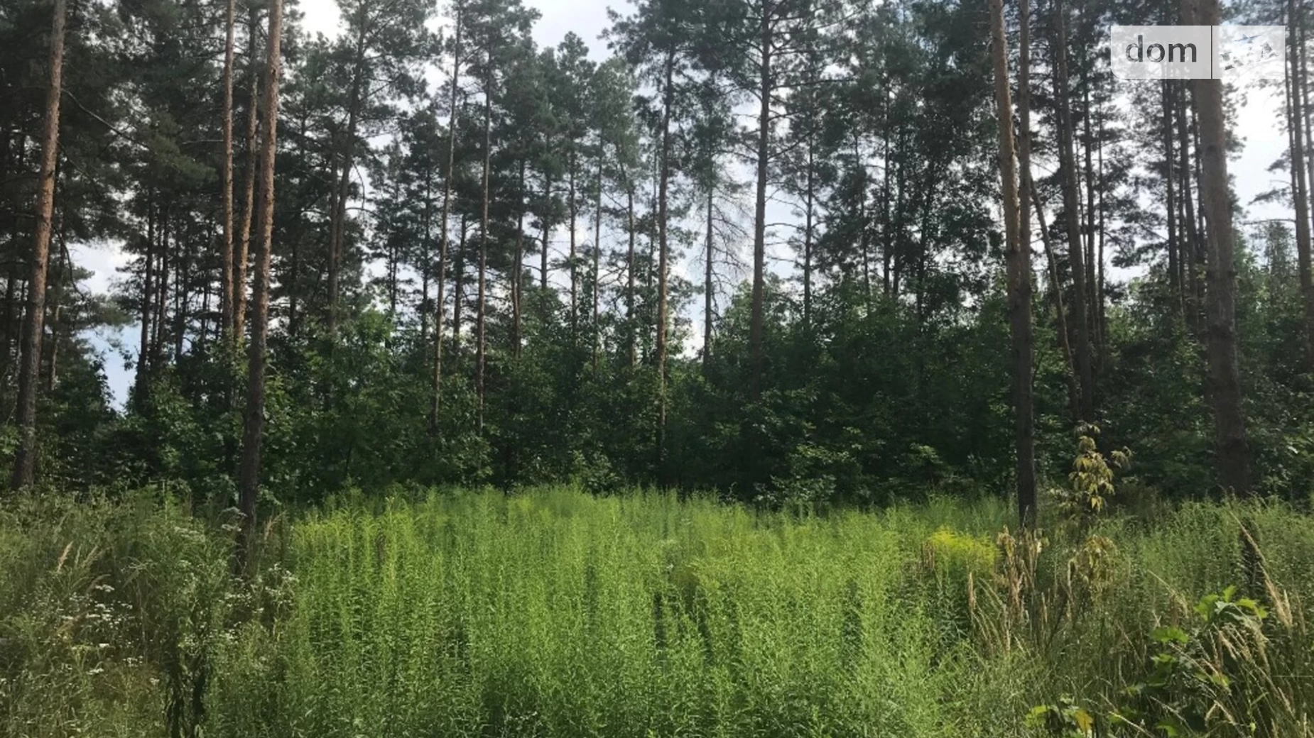 Продається земельна ділянка 10 соток у Київській області, цена: 220000 $ - фото 3