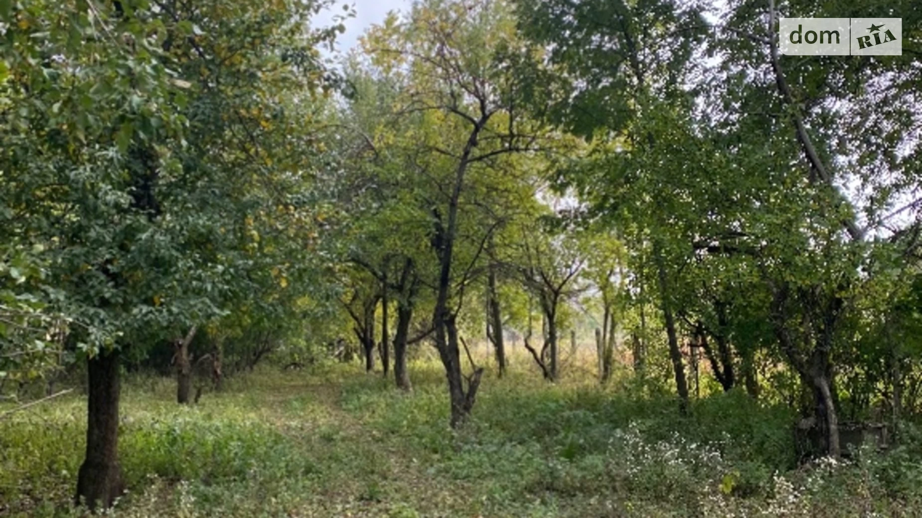 Продається одноповерховий будинок 93 кв. м с басейном, Миру