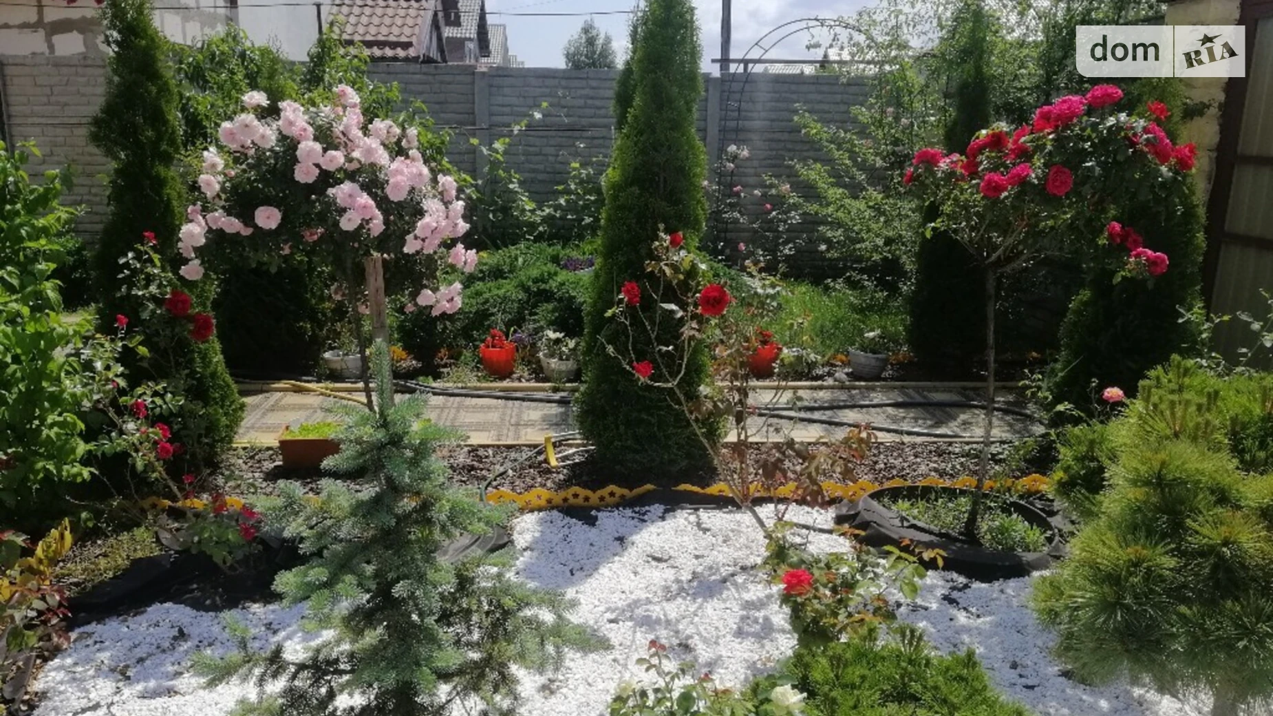 Вишеградська Колонщина, цена: 25000 грн - фото 3