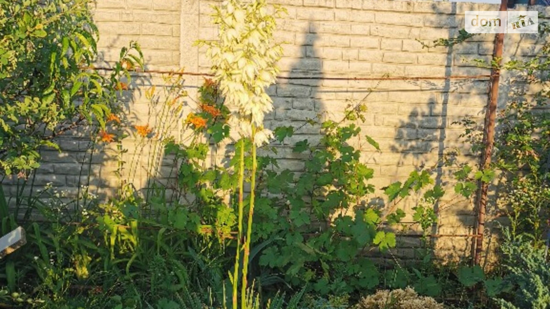 Вишеградська Колонщина, цена: 25000 грн - фото 5