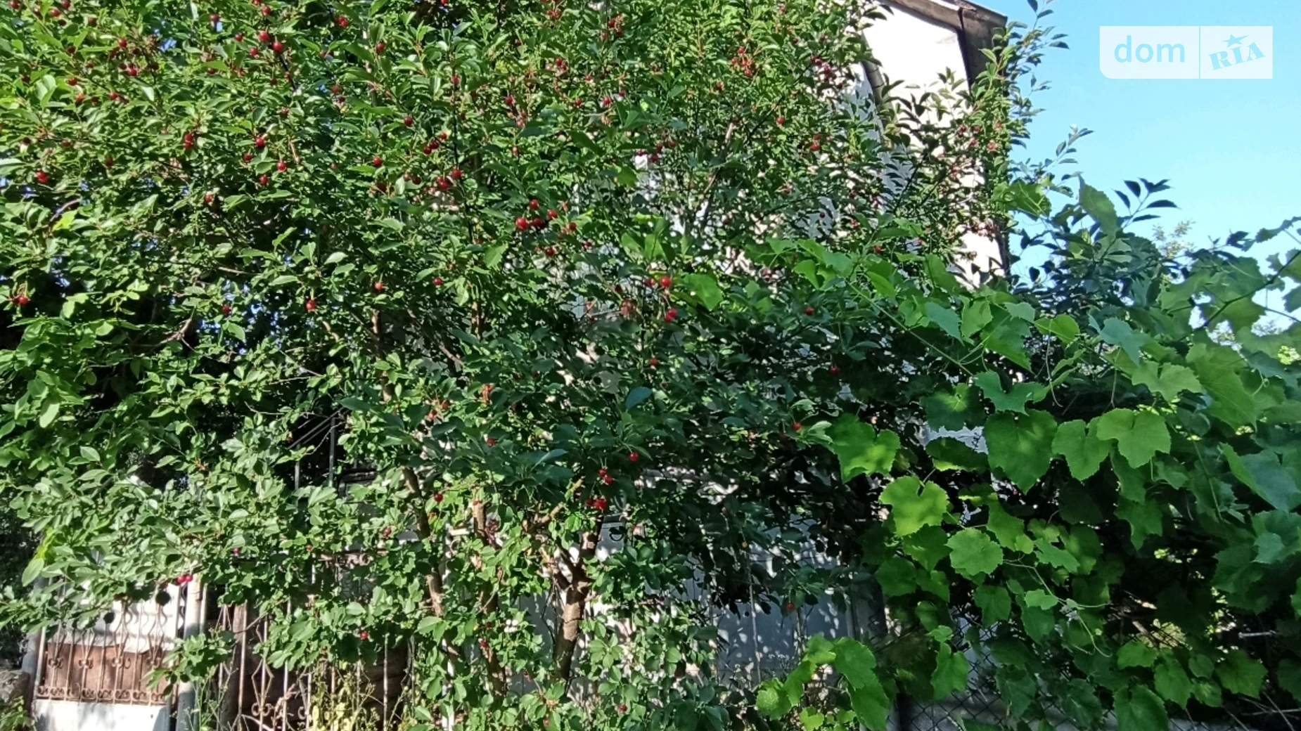 мас. Чистая Криница Курники, цена: 8500 $ - фото 4