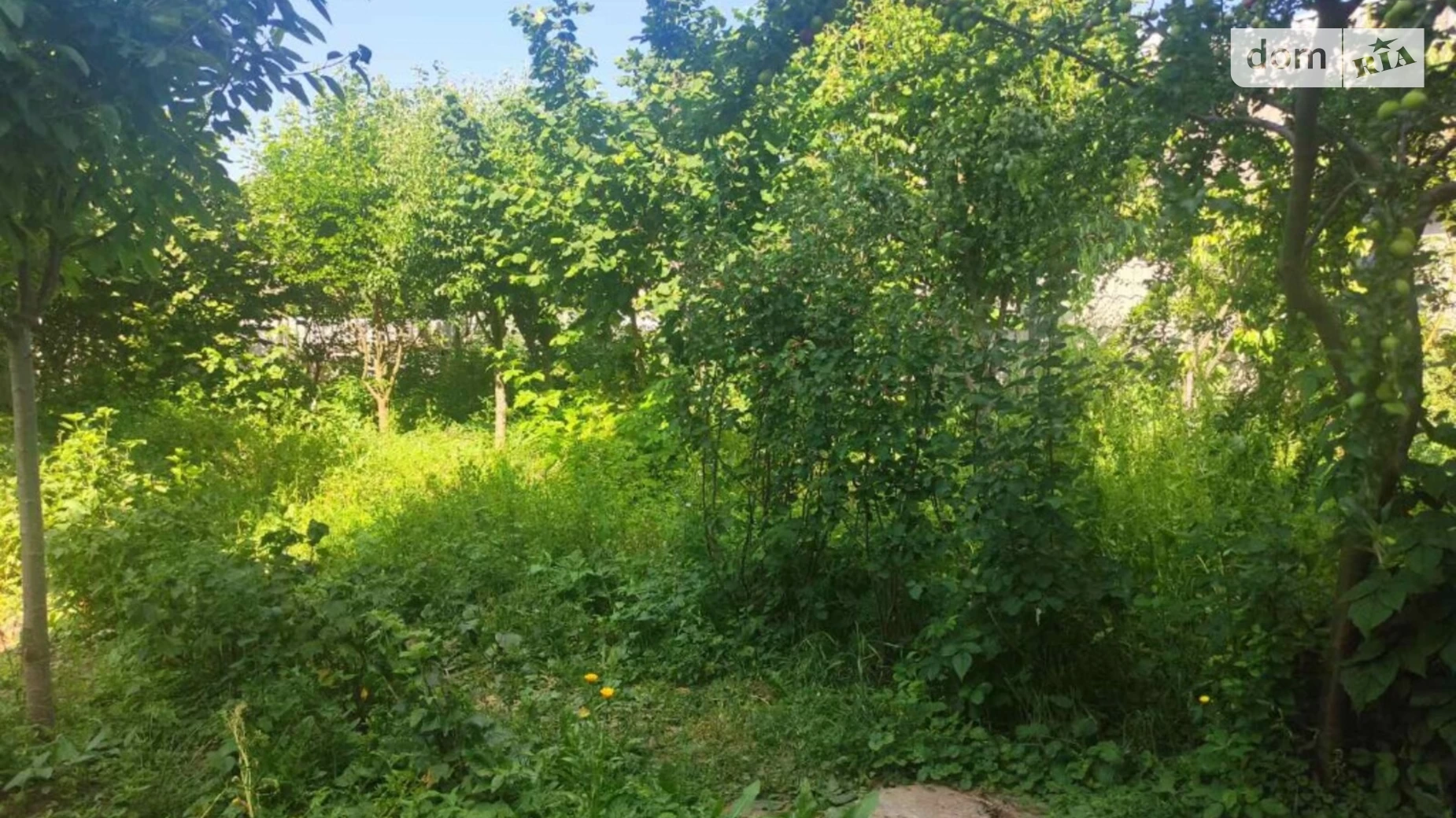 Продается дом на 3 этажа 430 кв. м с камином, цена: 200000 $ - фото 4