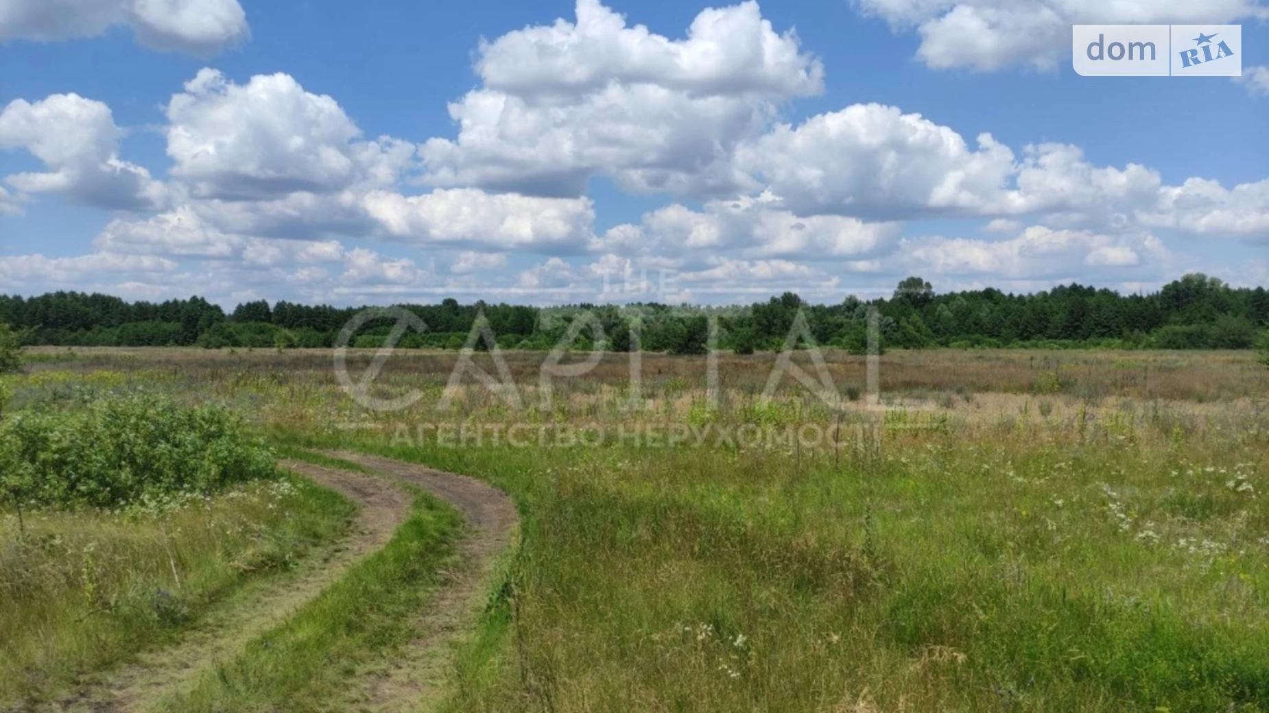 вул. Івана Кудрі Проців, цена: 200000 $ - фото 3