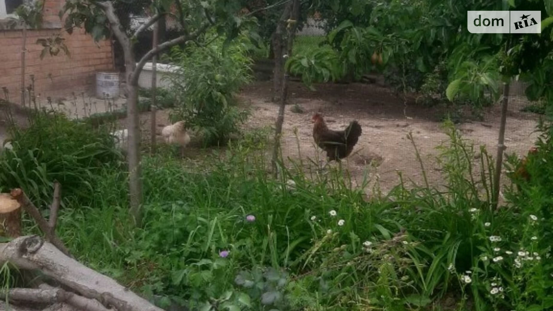 Продається одноповерховий будинок 46 кв. м з балконом, цена: 30000 $ - фото 2