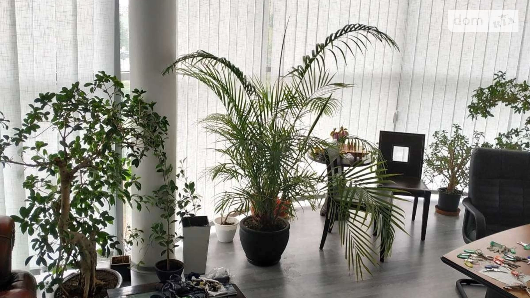 ул. Грушевского Новый Ужгород, цена: 600 $ - фото 4