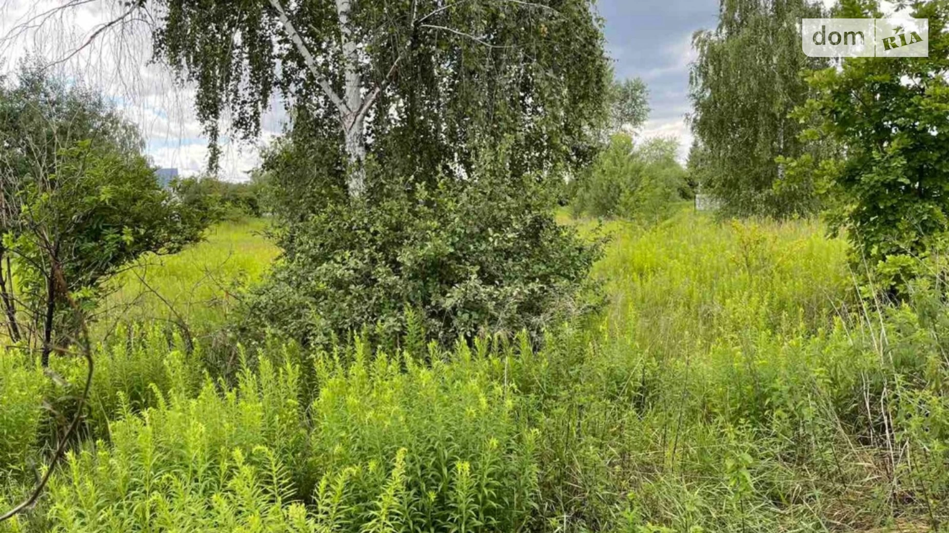 Продается земельный участок 18.89 соток в Киевской области, цена: 25000 $ - фото 5