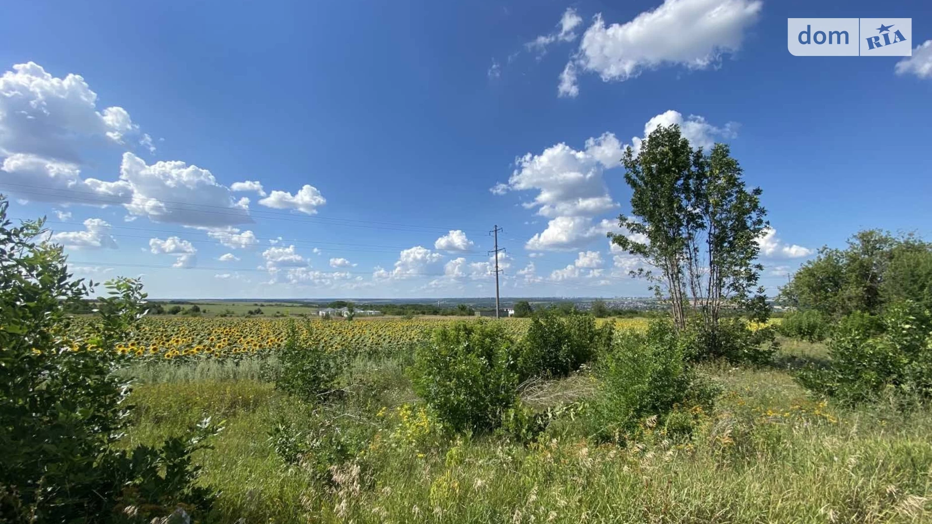 Новоолександрівка, цена: 17000 $ - фото 5