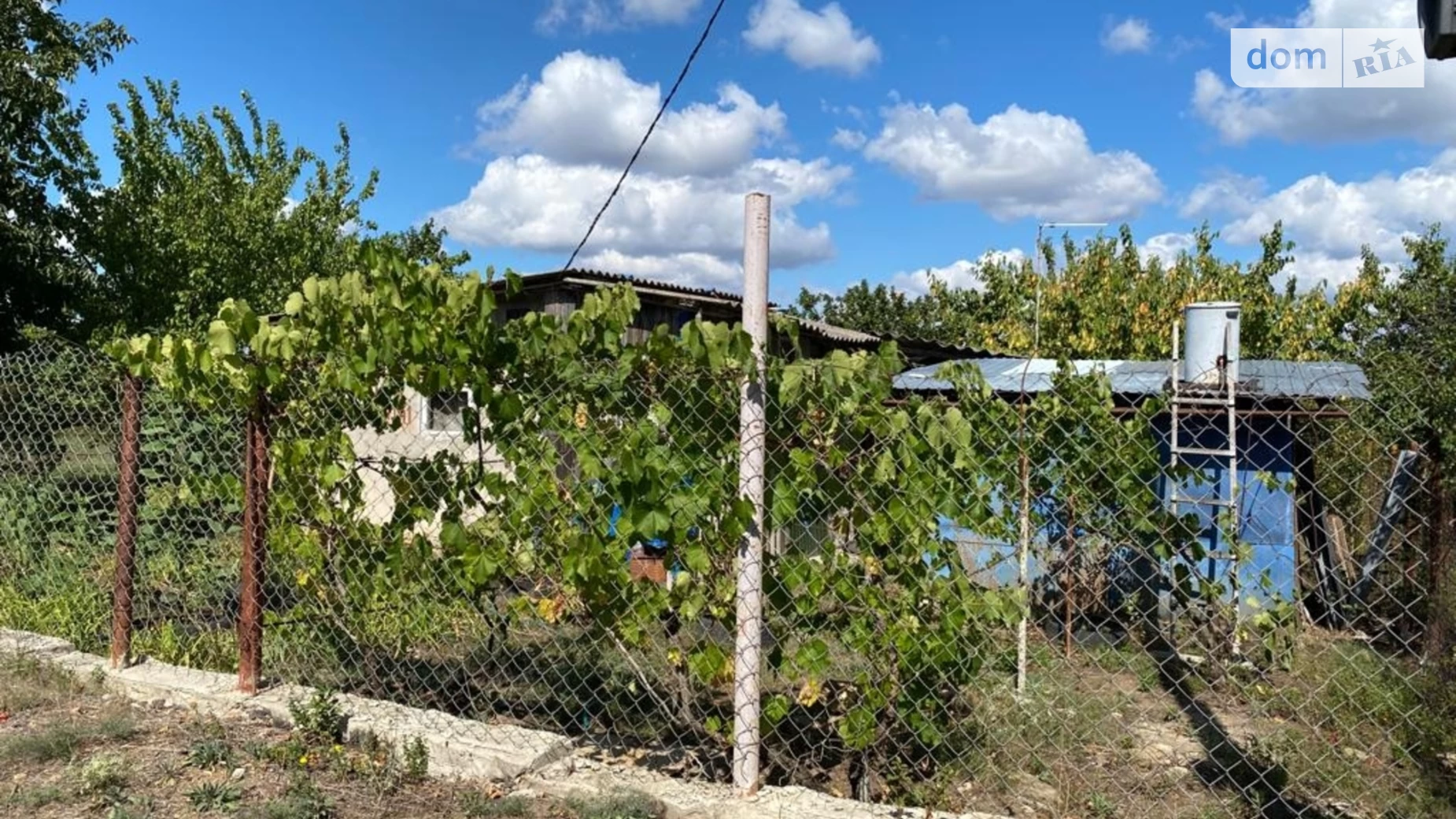 вулиця Сиреневая Любопіль, цена: 2500 $ - фото 2