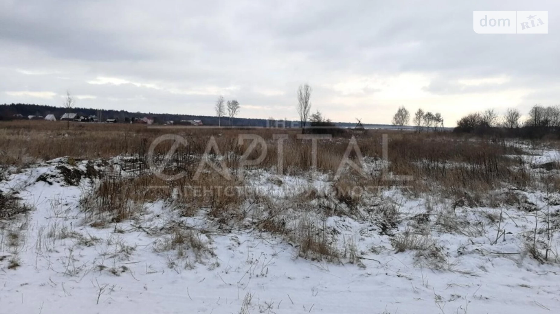 Подгорцы Подгорцы, цена: 480000 $ - фото 2