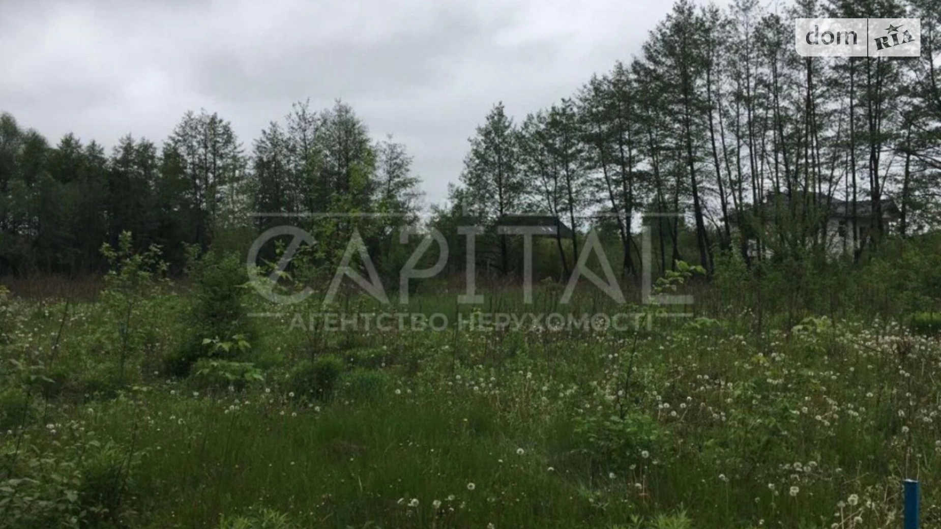 Корчеватое Голосеевский Киев, цена: 64000 $ - фото 3