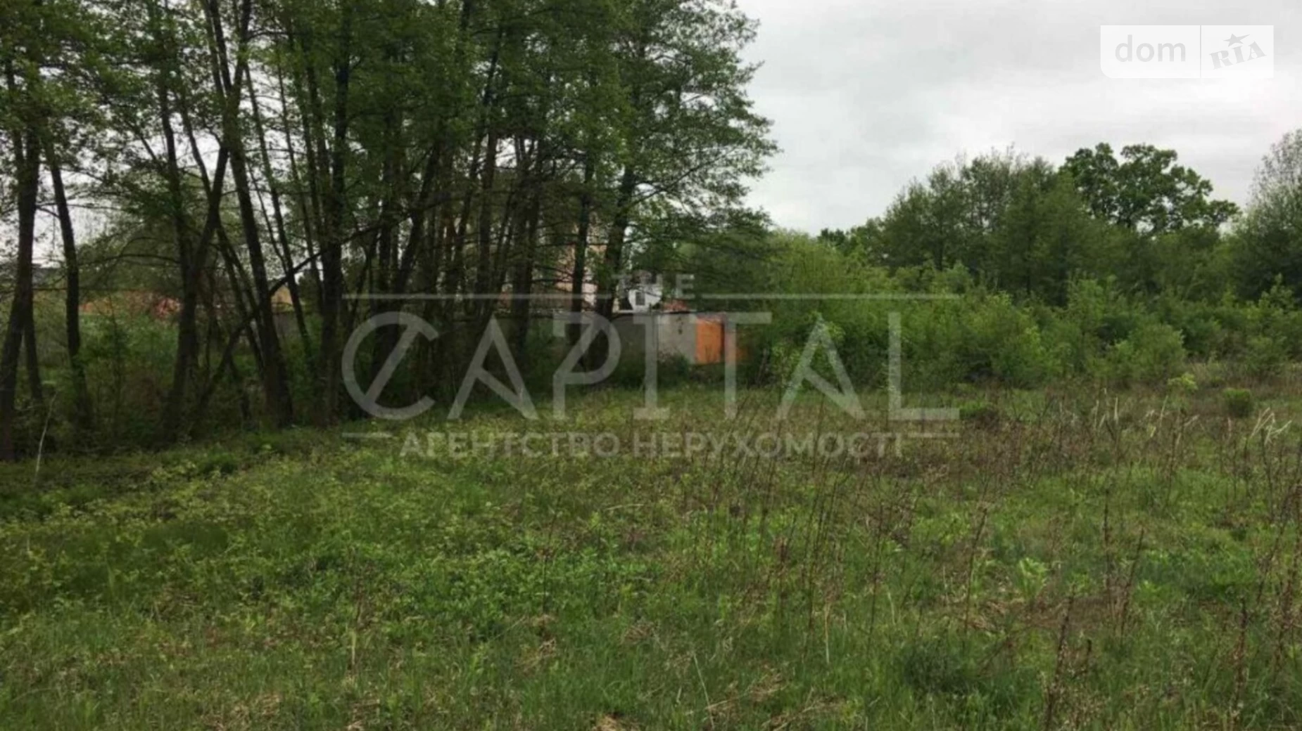 Корчеватое Голосеевский Киев, цена: 64000 $ - фото 5