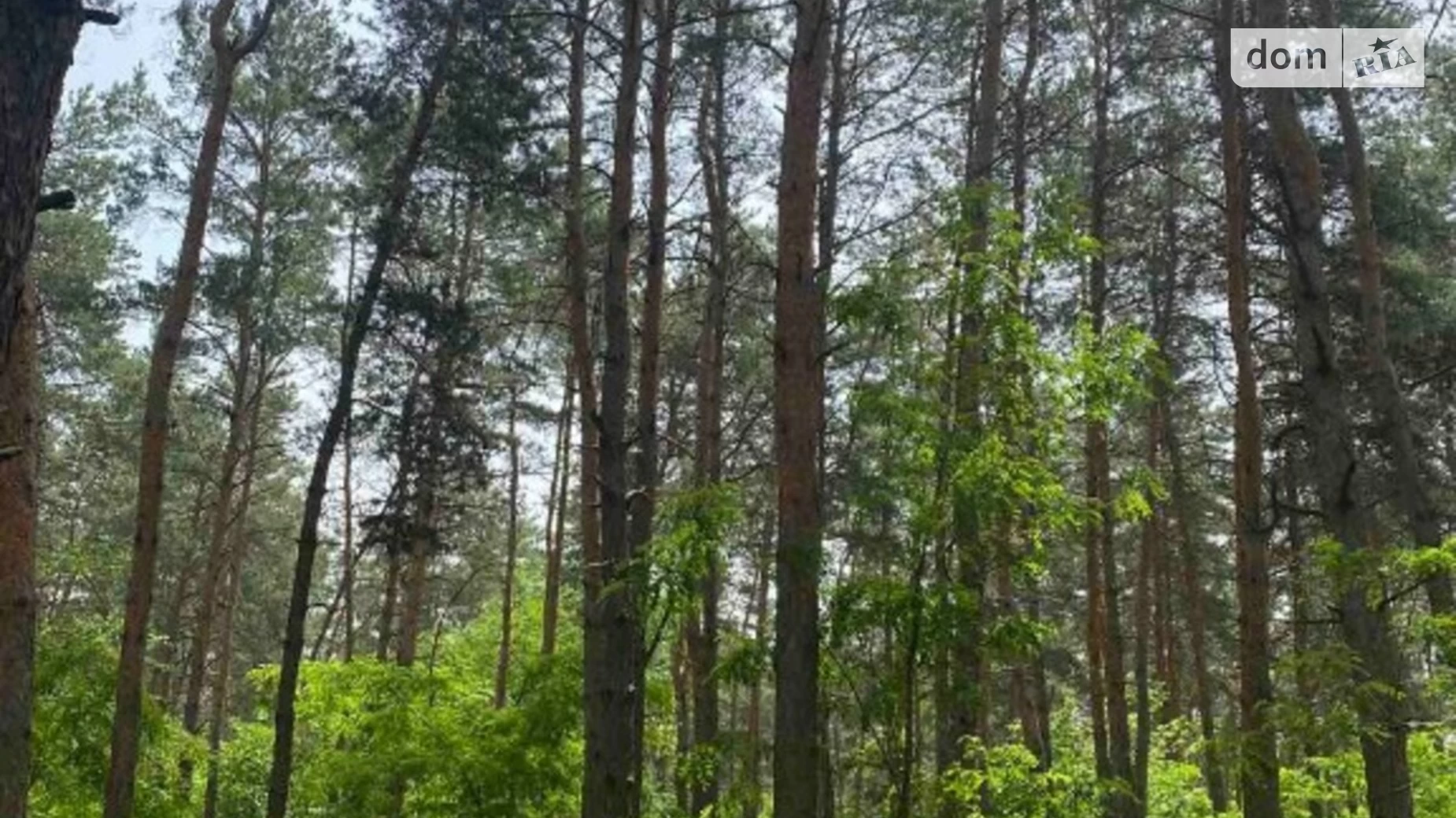 Продается земельный участок 10 соток в Днепропетровской области, цена: 29000 $ - фото 4