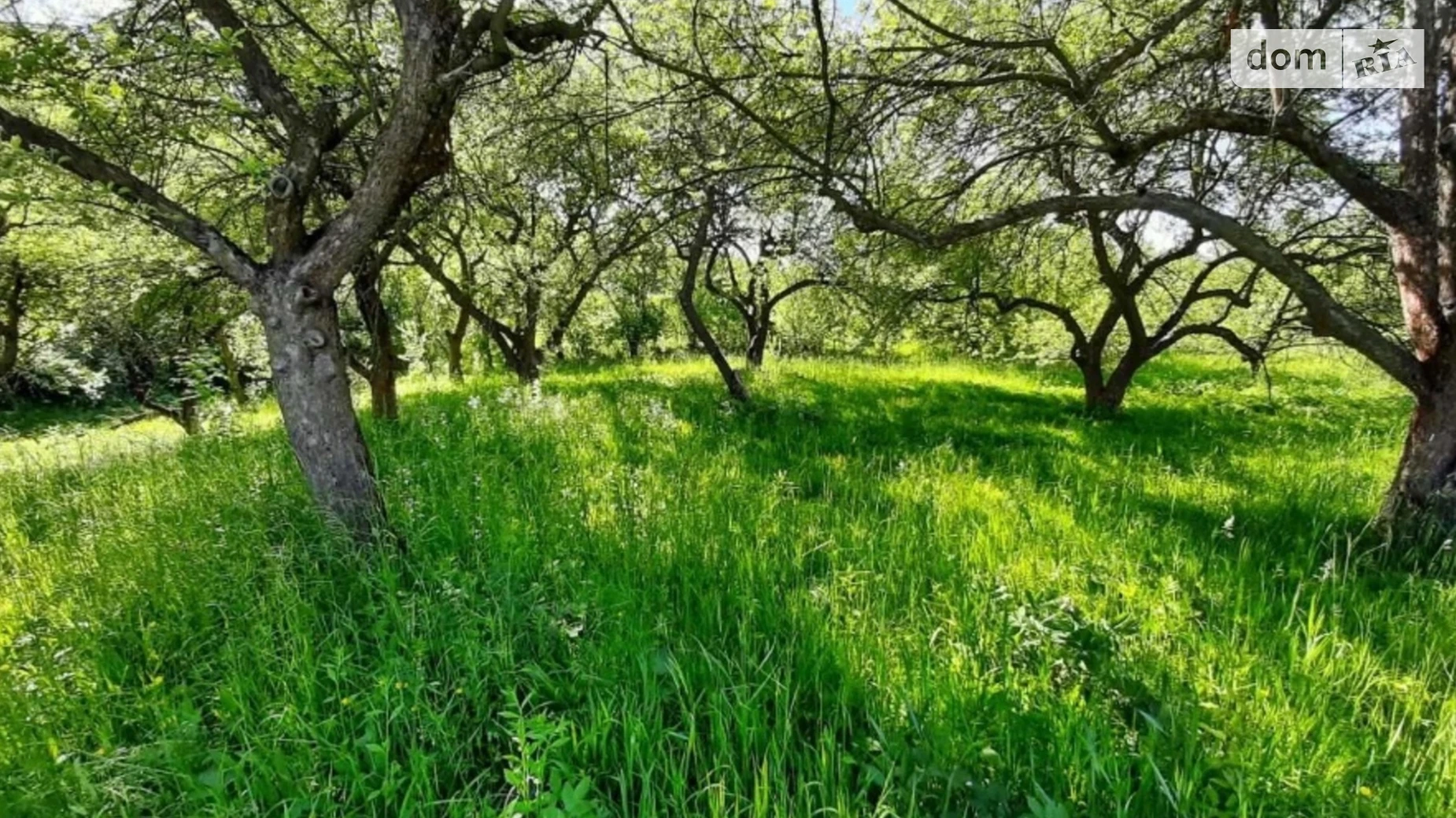 Продається одноповерховий будинок 75 кв. м з каміном, цена: 138800 $ - фото 4