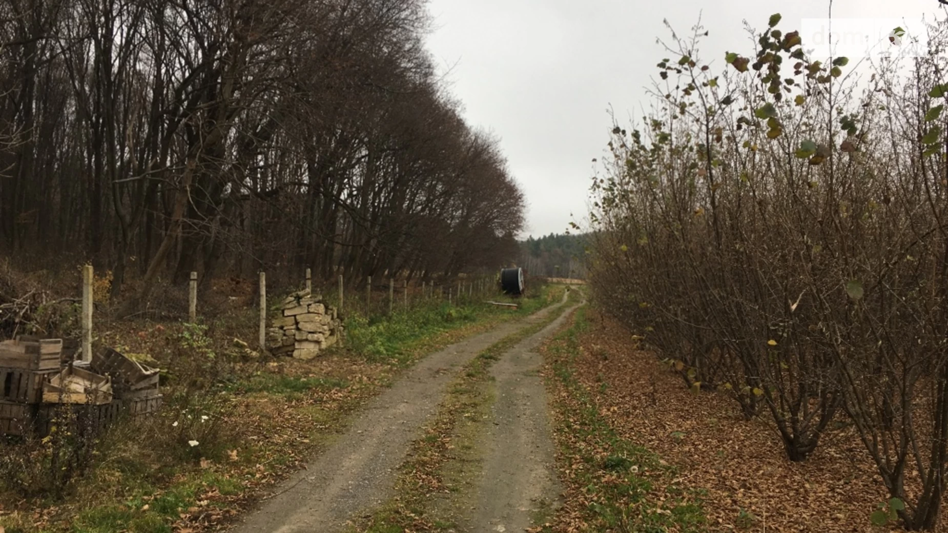 Львівське шоссе Ленінський Стрижавка, цена: 4100000 $ - фото 5