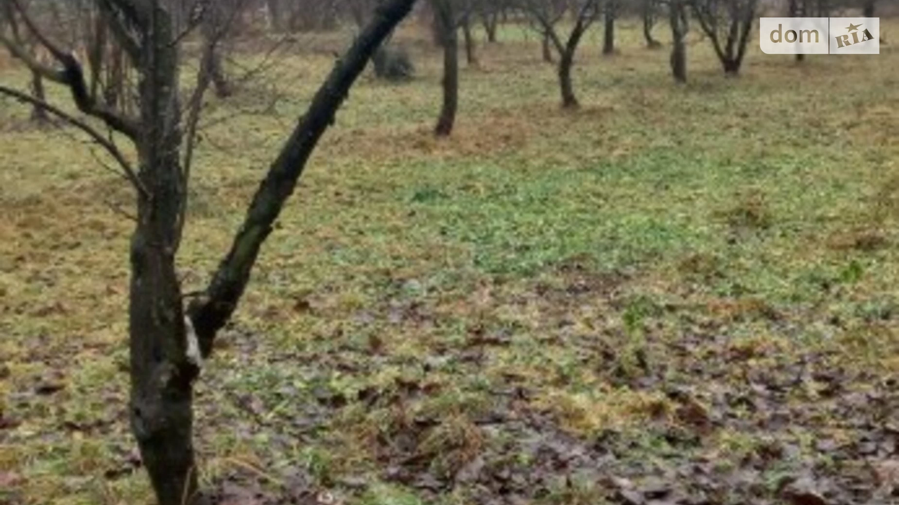 Продается земельный участок 30 соток в Винницкой области, цена: 21000 $ - фото 5