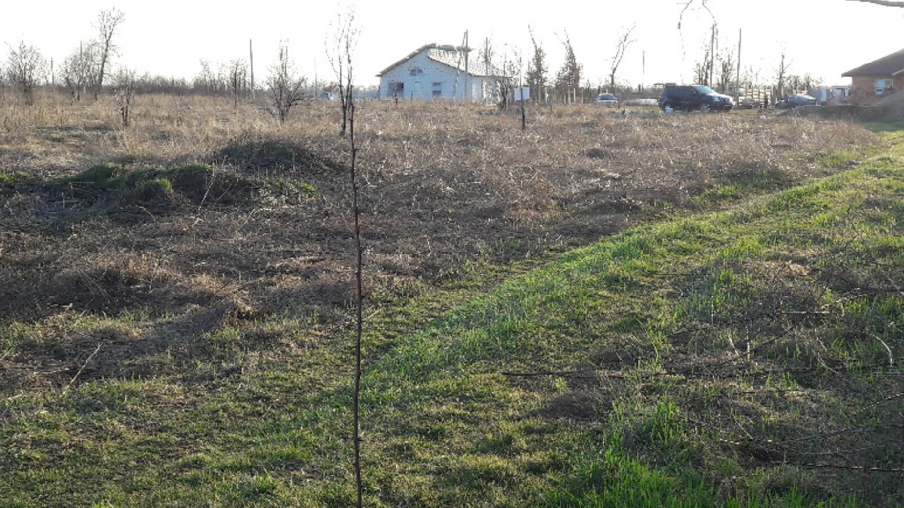 Продается земельный участок 10 соток в Киевской области, цена: 10650 $ - фото 4