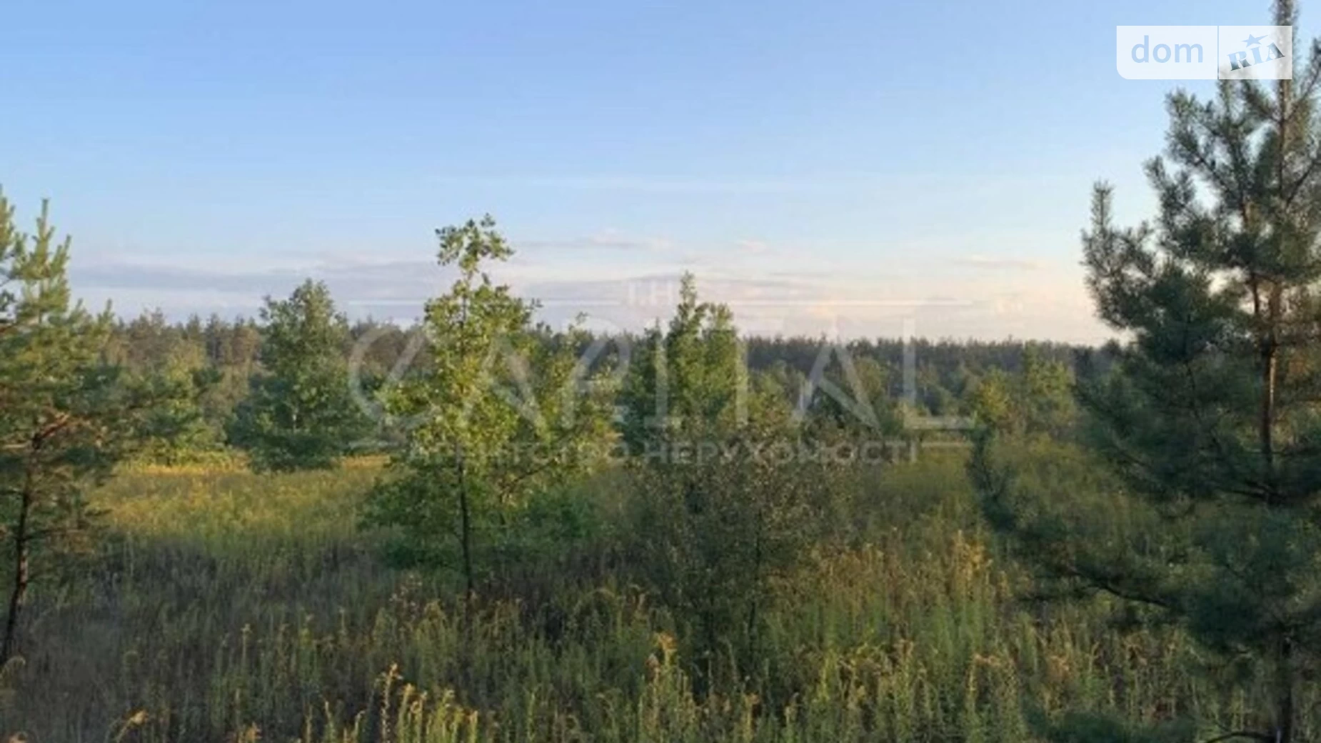 Новое Нове, цена: 146000 $ - фото 4