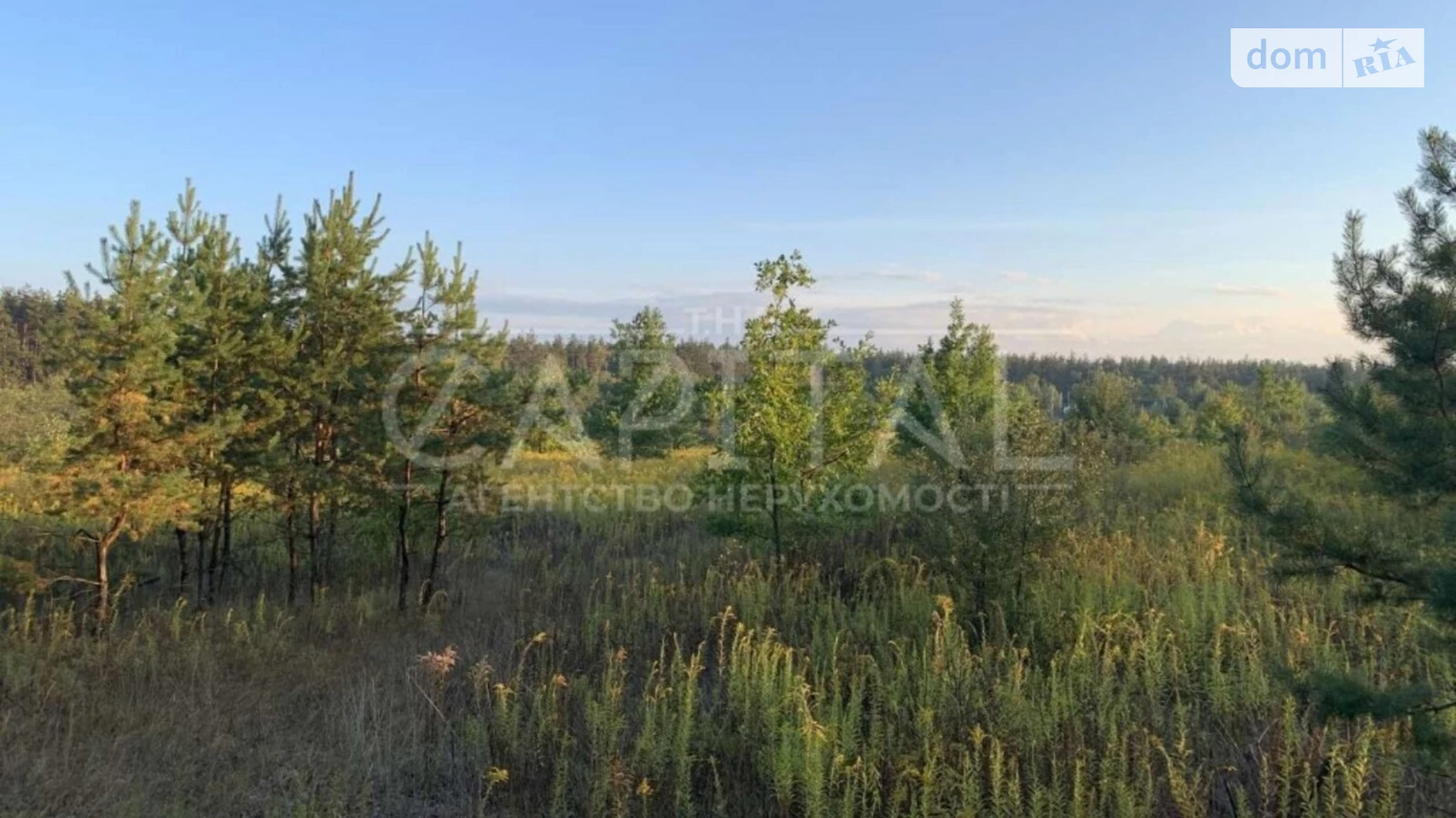 Новое Нове, цена: 146000 $ - фото 5