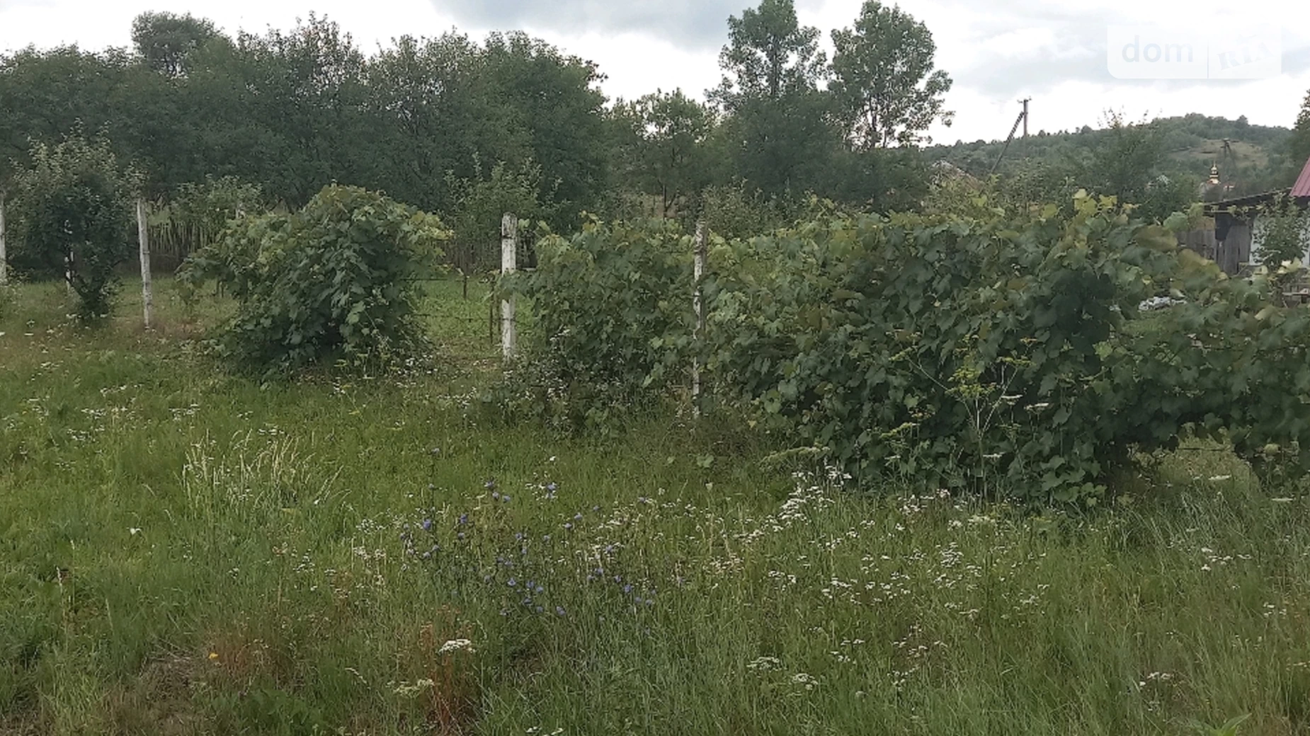 Продається будинок 2 поверховий 280 кв. м з каміном, Шевченеа