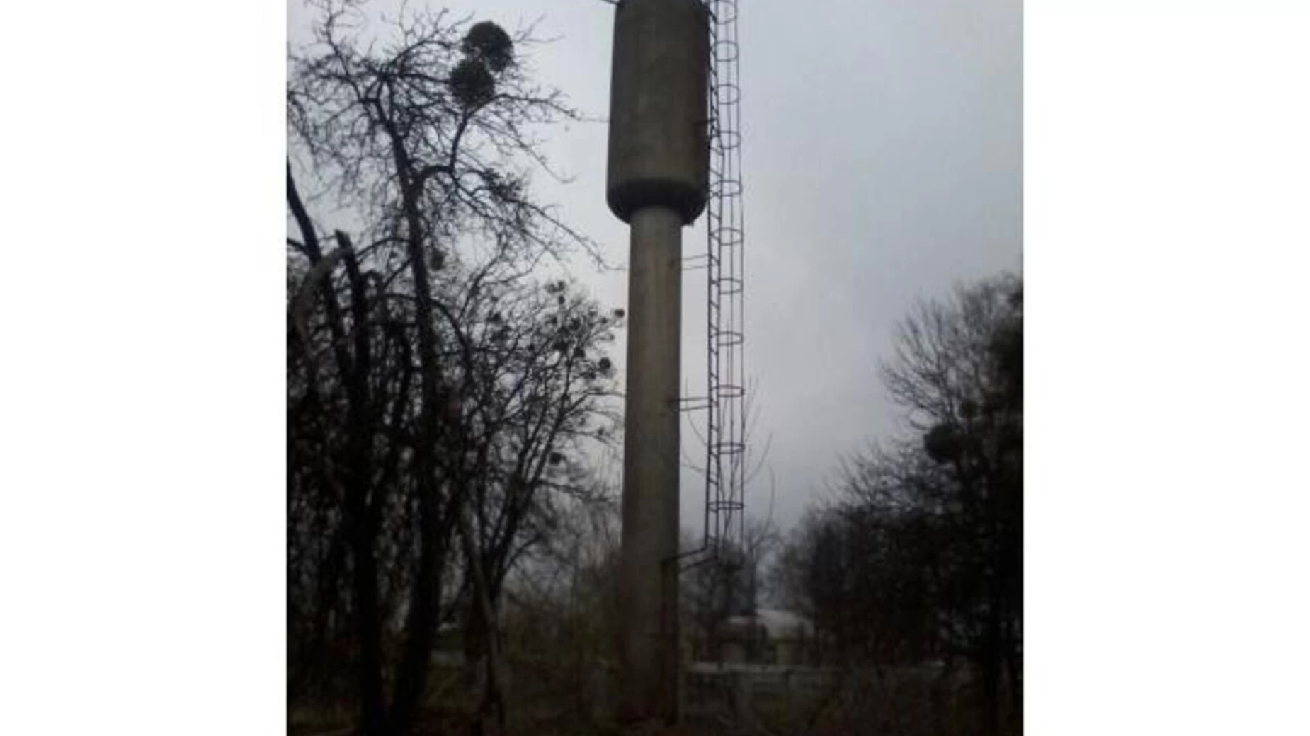 моринці Моринцы, цена: 119000 $ - фото 4