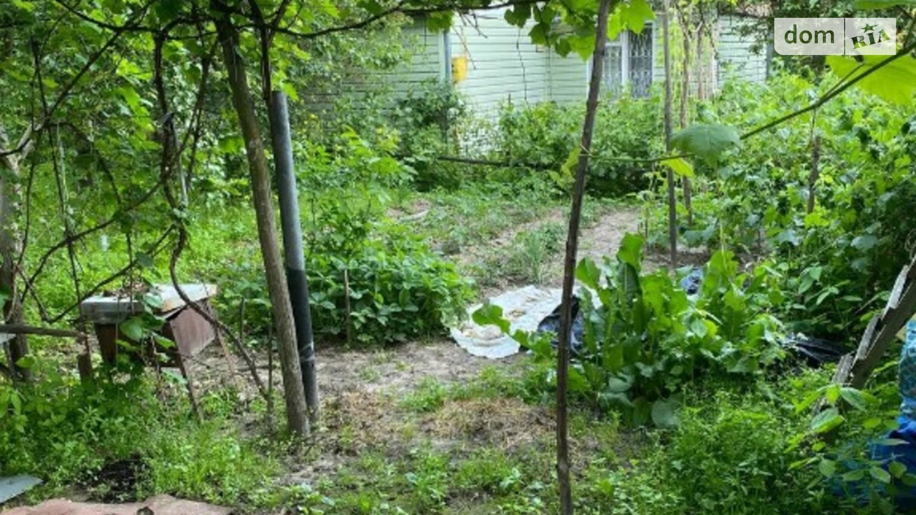 Марківці, цена: 12000 $ - фото 3