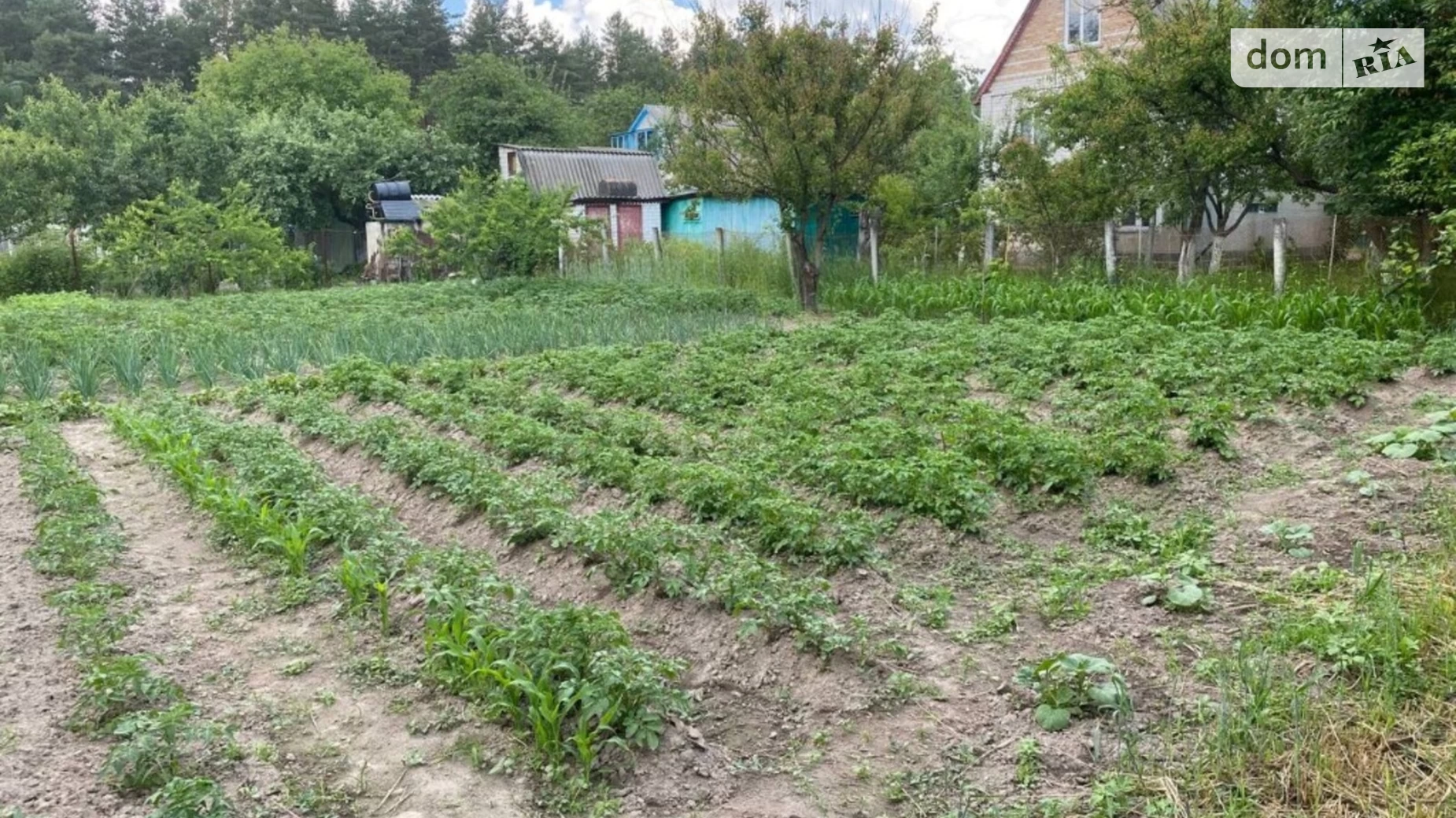 Марківці, цена: 12000 $ - фото 4