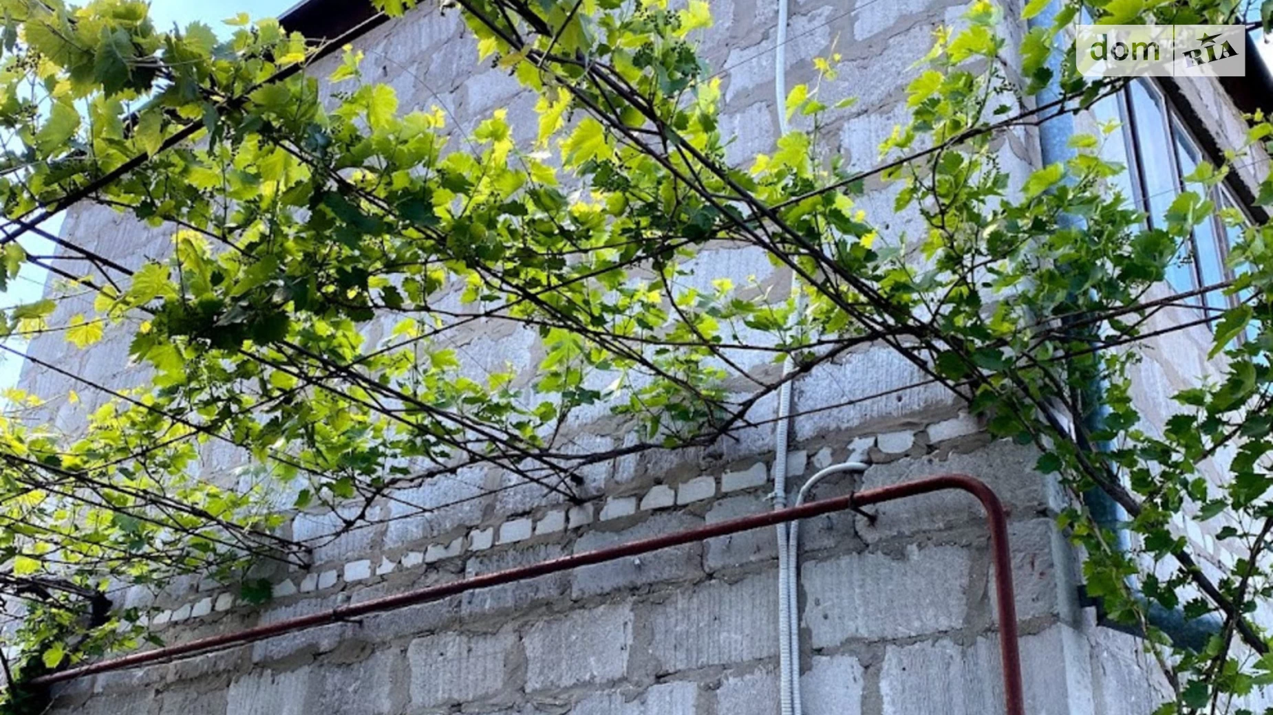 Продается дом на 2 этажа 120 кв. м с садом, цена: 22300 $ - фото 3