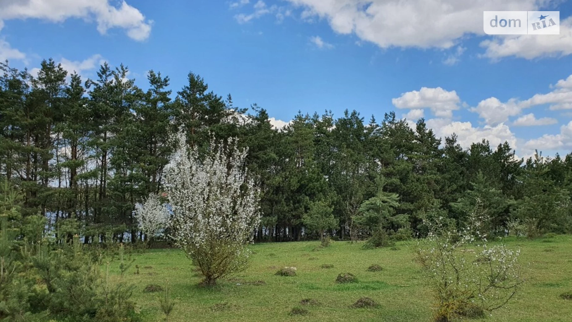 Продається земельна ділянка 30 соток у Хмельницькій області, цена: 17500 $ - фото 2