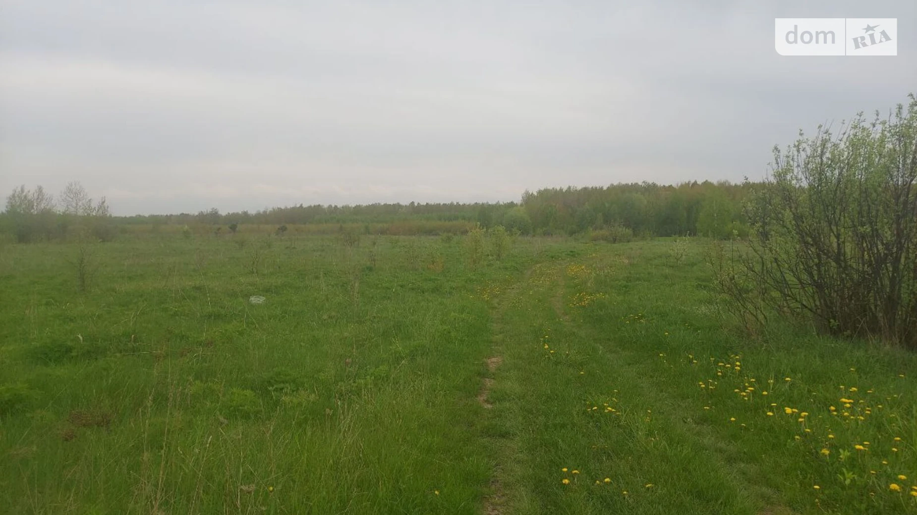 Продается земельный участок 12 соток в Житомирской области, цена: 1900 $ - фото 2