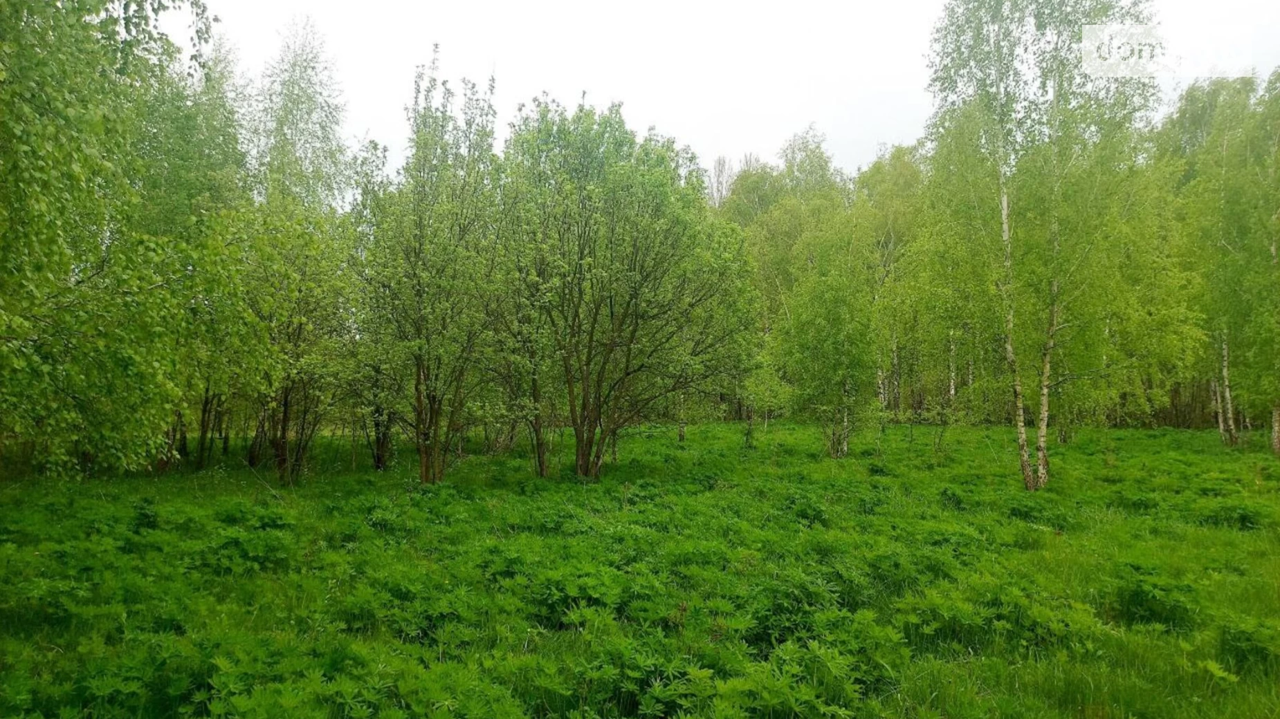 Продається земельна ділянка 18 соток у  області, цена: 8000 $ - фото 3
